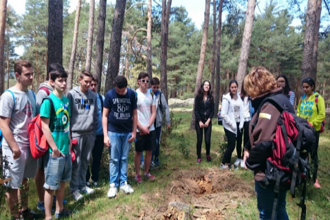 EXCURSIÓN AL CENTRO NACIONAL DE EDUCACIÓN AMBIENTAL  VALSAÍN (SEGOVIA). 25 DE MAYO DE 2015